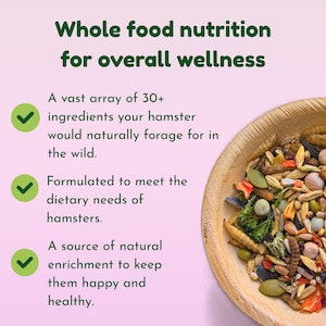 Syrian Hamster Forage Mix | 100% Healthy, all-natural ingredients Bild 6