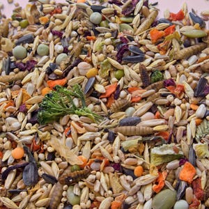 Syrian Hamster Forage Mix | 100% Healthy, all-natural ingredients Bild 4