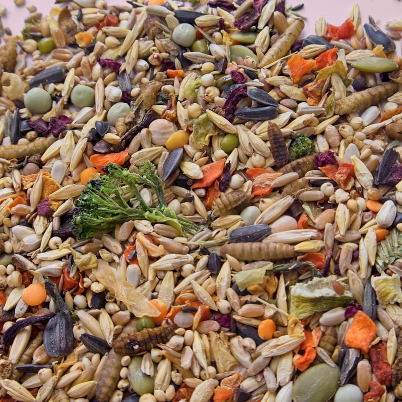 Syrian Hamster Forage Mix | 100% Healthy, all-natural ingredients Bild 4