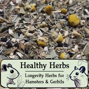 Healthy Herbs for Hamsters & Gerbils