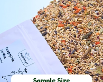 Mouse Forage Mix (Sample Size, 100g) | 100% Healthy, all-natural ingredients