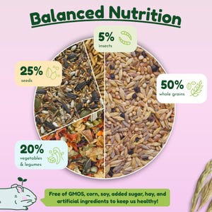 Syrian Hamster Forage Mix | 100% Healthy, all-natural ingredients Bild 5