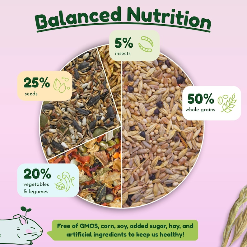 Syrian Hamster Forage Mix | 100% Healthy, all-natural ingredients Bild 5