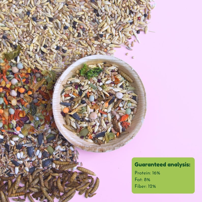 Syrian Hamster Forage Mix | 100% Healthy, all-natural ingredients Bild 3