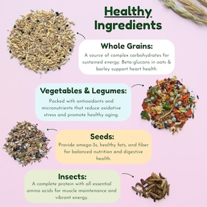 Syrian Hamster Forage Mix | 100% Healthy, all-natural ingredients Bild 2