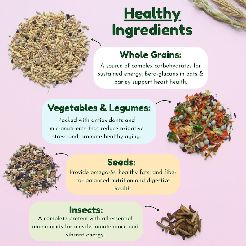 Syrian Hamster Forage Mix | 100% Healthy, all-natural ingredients Bild 2