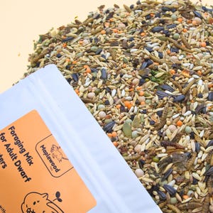 Dwarf Hamster Forage Mix | 100% Healthy, all-natural ingredients