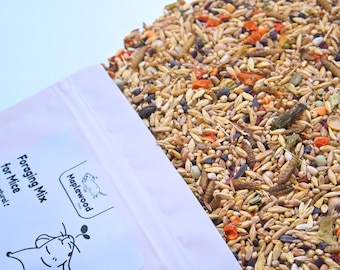Mouse Forage Mix | 100% Healthy, all-natural ingredients