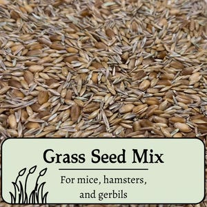 May include: A close-up of a mix of brown and beige grass seeds. The text "Grass Seed Mix" is printed on a green label with a small illustration of grass. The label also reads "For mice, hamsters, and gerbils".