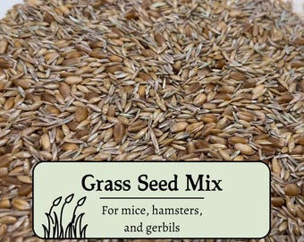 Grass Seed Mix: Hamster, Mice, Gerbil Forage Enrichment
