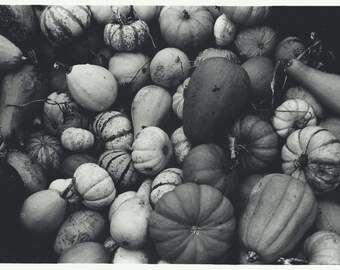 Gourds Aplenty Hand Printed Film Photograph Made In A Darkroom