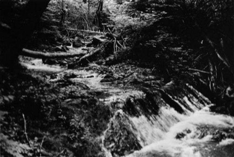 Creek With Falls, Roaring Run Furnace, Virginia, Photograph, Darkroom, Film Photography image 1