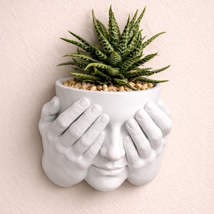 Maceta de pared con cara impresa en 3D: decoración artística única