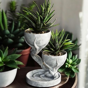 May include: A white ceramic planter with a tree-like design holds two succulent plants. The planter has two separate pots, one above the other, connected by a sculpted tree trunk. The pots are gray and white with a textured finish.