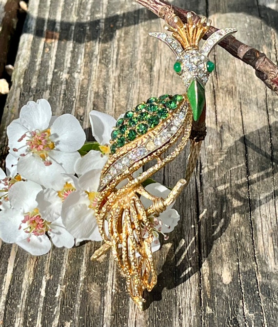 Florenza Bird of Paradise Kingfisher Brooch ~ Vin… - image 3