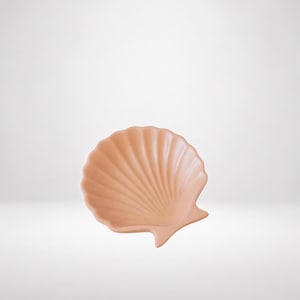 Op de afbeelding: Een perzikkleurige keramische schaal in de vorm van een sint-jakobsschelp. De schaal heeft een gladde, matte afwerking met stralende ribbels die van de basis tot aan de geschulpte rand lopen, wat een holle vorm creëert voor kleine voorwerpen.