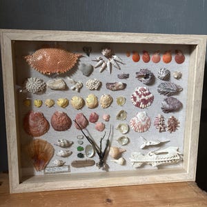 BEACH shadowbox | collage shells sea glass coral beach treasure Palm Beach Florida,handmade unique wedding gift 15”x12” coastal chic ocean image 2