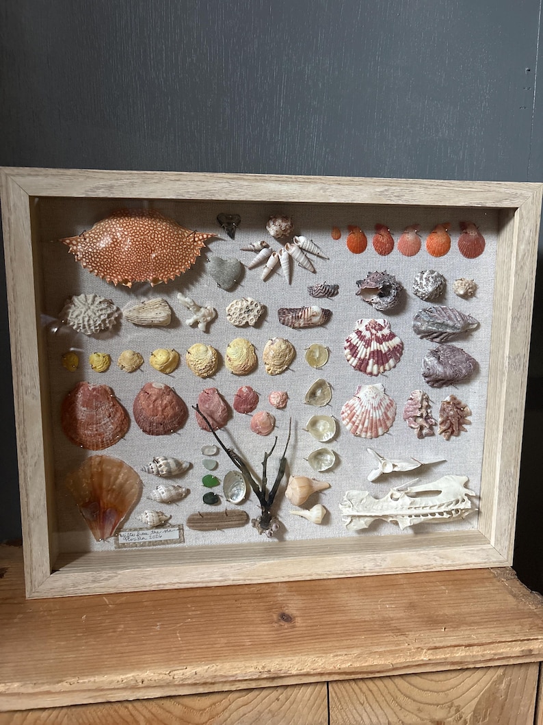 BEACH shadowbox | collage shells sea glass coral beach treasure Palm Beach Florida,handmade unique wedding gift 15”x12” coastal chic ocean image 2