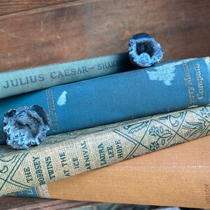 4 VINTAGE BOOKS classic library book collection blue orange linen, Julius Caesar,Bobbsey Twins,Alcott , unique mom gift,new home rustic image 3