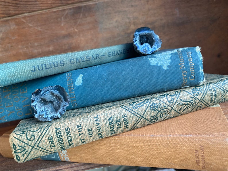 4 VINTAGE BOOKS classic library book collection blue orange linen, Julius Caesar,Bobbsey Twins,Alcott , unique mom gift,new home rustic image 3