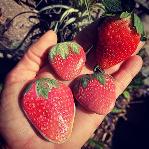 Pietra da spiaggia dipinta a forma di fragola, ciottoli, arte, roccia, matrimonio, sposa, festa, apparecchiatura, bacche, frutta, giardino, unica, calza della Befana