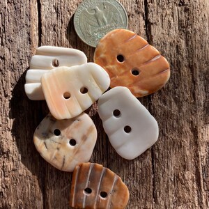 SHELL BUTTONS 5 natural ocean beach shell shards into buttons florida shell shards hand drilled organic clothing jewelry making upholstery image 5