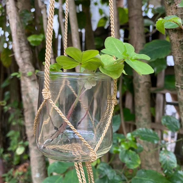 MACRAME plant hanger | small glass jar for root propagation in handmade knotted cording,window container,indoor garden,upcycled yogurt glass