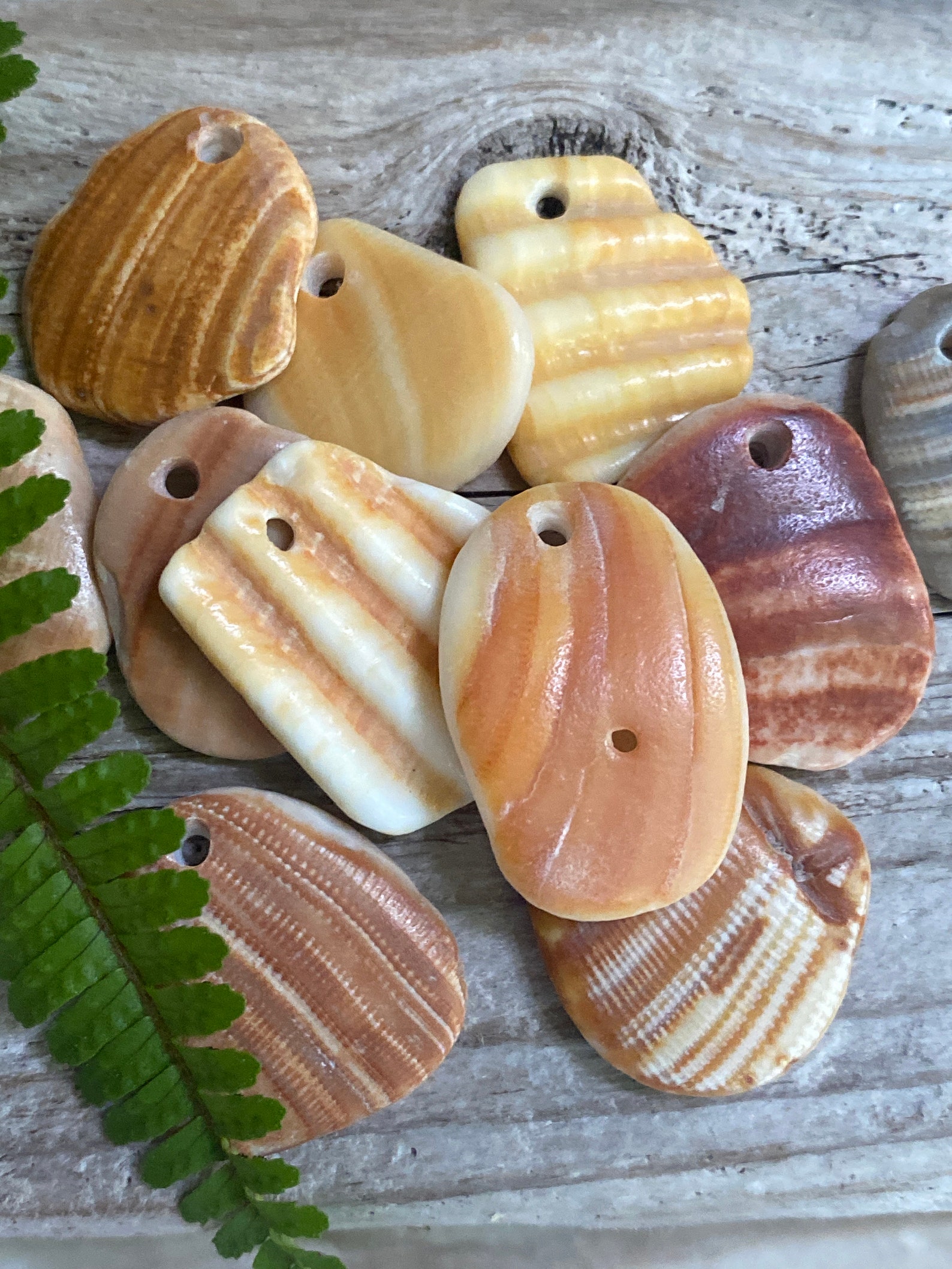 10 SMALL MERMAID Shells | Drilled Beach Shard 1”, Jewelry Wind Chime ...