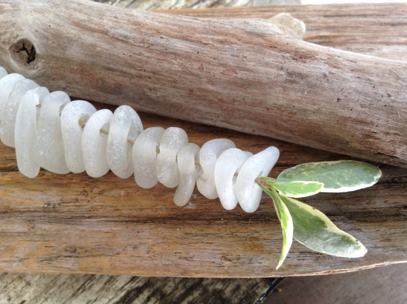 Puede incluir: Una hebra de cuentas de vidrio de mar blanco dispuestas en espiral sobre un trozo de madera a la deriva con una hoja verde.