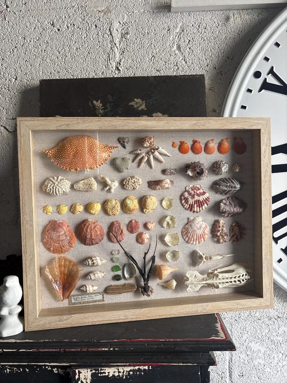 BEACH shadowbox | collage shells sea glass coral beach treasure Palm Beach Florida,handmade unique wedding gift 15”x12” coastal chic ocean
