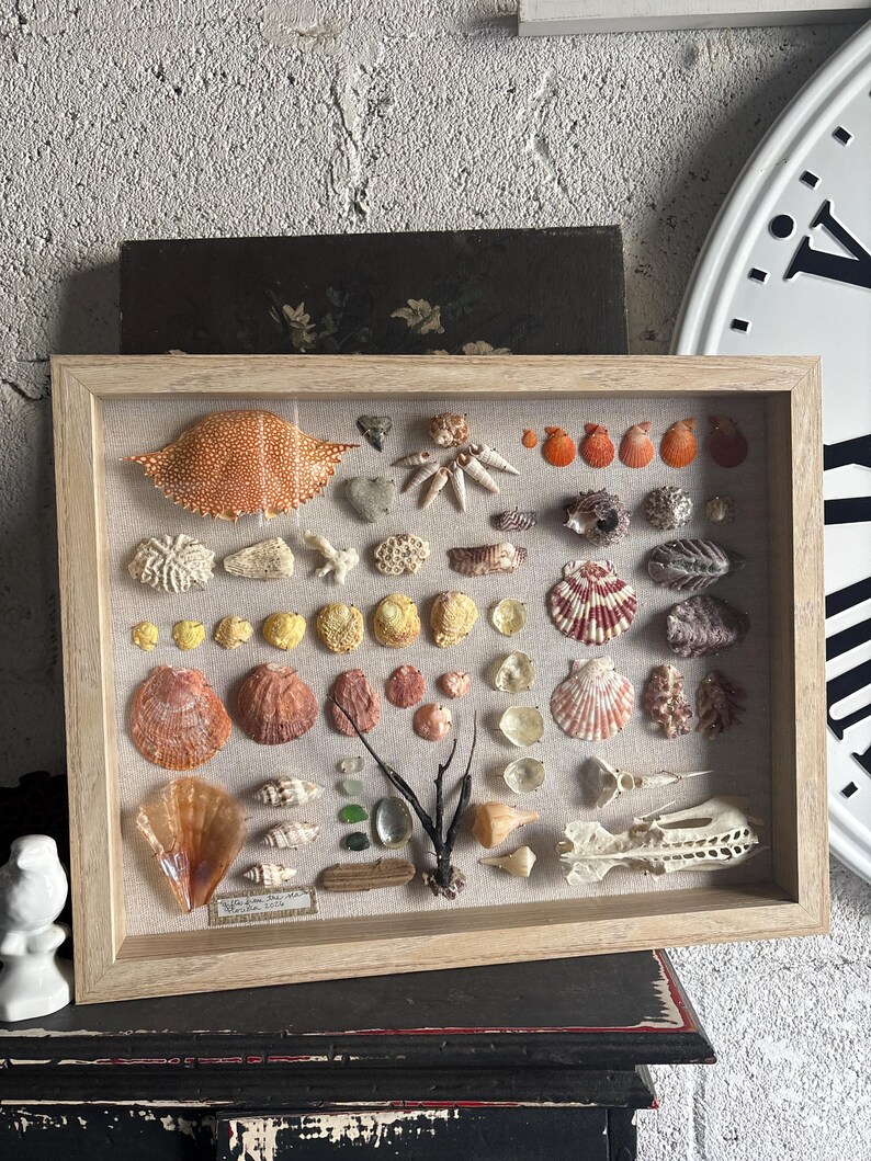 BEACH shadowbox | collage shells sea glass coral beach treasure Palm Beach Florida,handmade unique wedding gift 15”x12” coastal chic ocean image 1