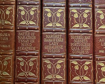 Conjunto de 5 livros antigos | Coleção de livros clássicos de poesia em capa dura de 1900, ideal para bibliotecas. Presente exclusivo para professores, decoração de escritório e casa, perfeito para leitura em dormitórios ou para estudantes de inglês.