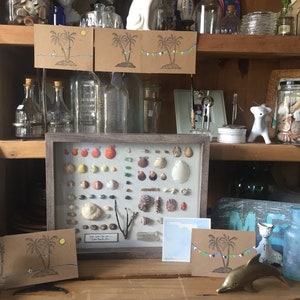 May include: A wooden cabinet displays various items, including seashells, greeting cards with palm tree illustrations, glass bottles, and decorative figurines. A framed collection of seashells is a focal point, alongside a brass dolphin figurine.