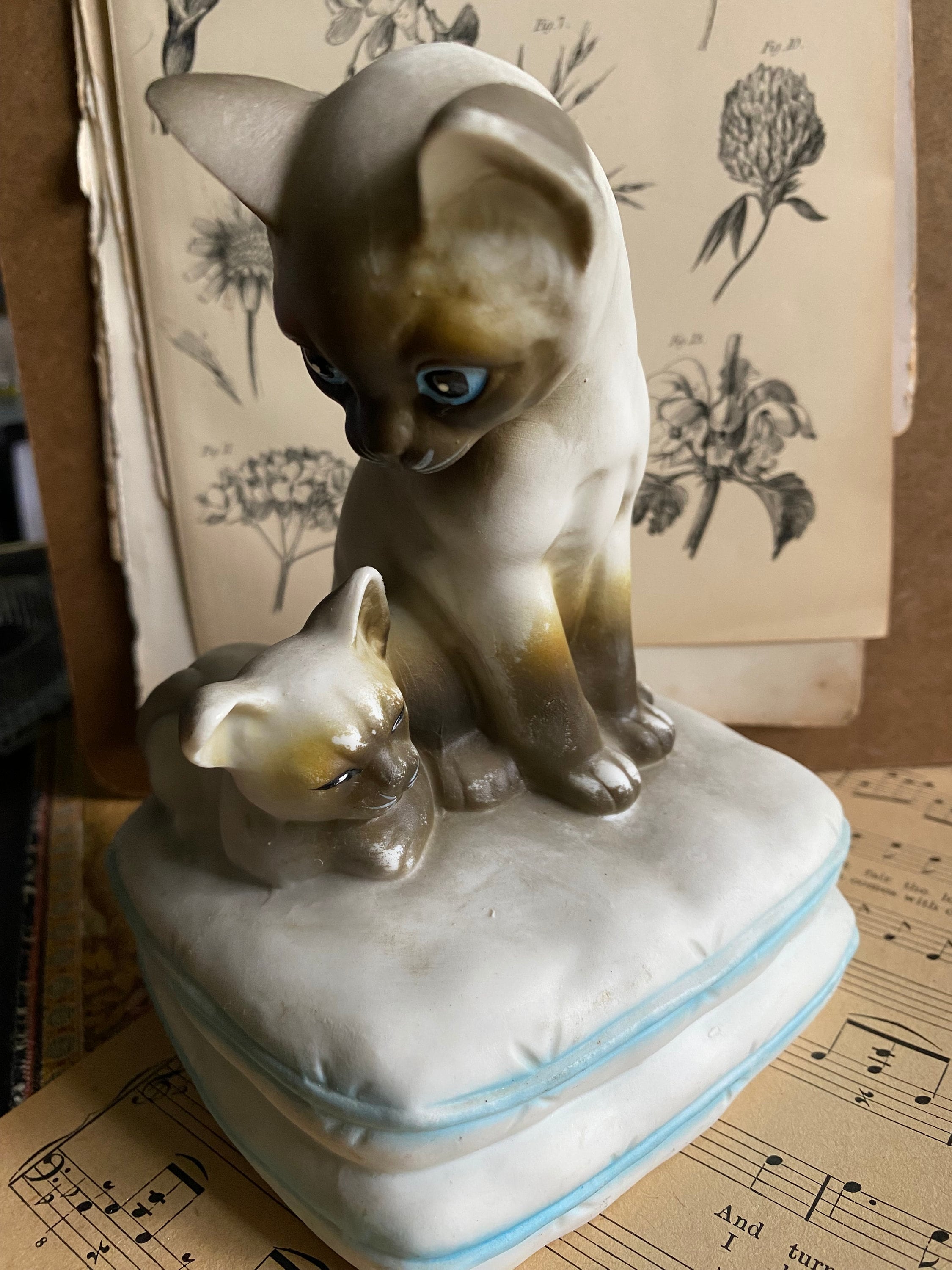 Mann Cat Music Box - Etsy