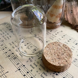 MINI GLASS CLOCHE | 2.5” short glass cover with cork stopper,miniature display treasure container,unique gift decor,conservation green house