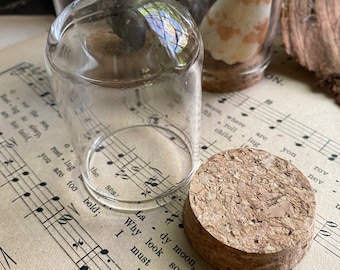 MINI GLASS CLOCHE | 2.5” short glass cover with cork stopper,miniature display treasure container,unique gift decor,conservation green house