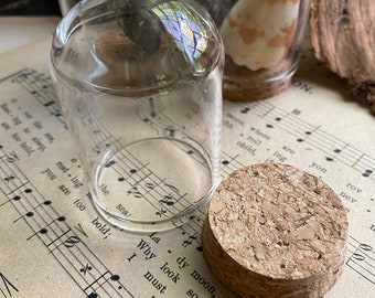 Mini campana de cristal con tapón de corcho: cúpula de exhibición en miniatura (2,5 pulgadas)