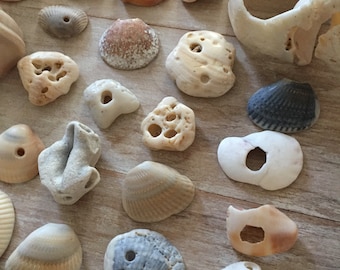 HALLAZGOS DE PLAYA / 30 fragmentos de concha con agujeros naturales, recuerdo de envoltura de regalo náutico, buena fortuna, fabricación de móviles, suministros de joyería, tropical único