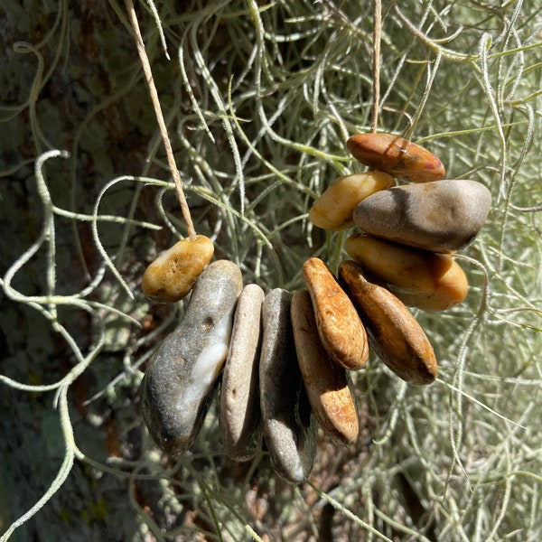 11 EARTHLY STONES | small beach fossil petrified wood rock shell jewelry focal bead woodland travel journey evolution science earth pendant