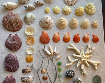 BEACH shadowbox | kolaż muszli, koralowców ze szkła morskiego, skarbów plażowych Palm Beach na Florydzie, ręcznie robiony, wyjątkowy prezent ślubny, 15”x12”, nowa rama, Boże Narodzenie