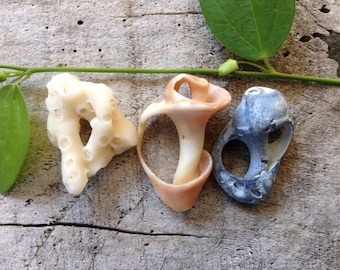 22 pequeños hallazgos de playa / fragmentos de concha con agujeros naturales, buena suerte, fabricación de móviles, suministros de joyería, joyería de novia tropical, regalo de San Valentín