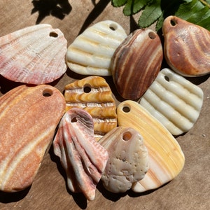 May include: Assortment of seashells with holes drilled in them, ready to be used as pendants or charms. The shells are in various shapes and sizes, with a mix of brown, white, and pink colors.