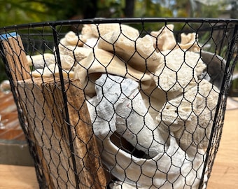 HALLAZGOS DE LA PLAYA / fragmentos de conchas, coral y madera flotante en cesta de alambre, exhibición rústica de historia natural, hogar para bodas costeras