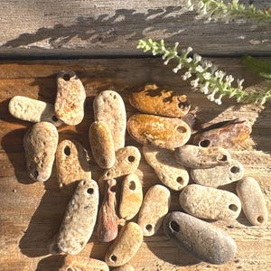 24 pietre da spiaggia forate: ciondolo stretto, rocce di legno pietrificato, gioielli fai da te, viaggio nel bosco, evoluzione, scienza, terra, organico
