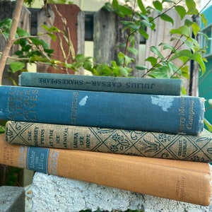 4 VINTAGE BOOKS classic library book collection blue orange linen, Julius Caesar,Bobbsey Twins,Alcott , unique mom gift,new home rustic image 5