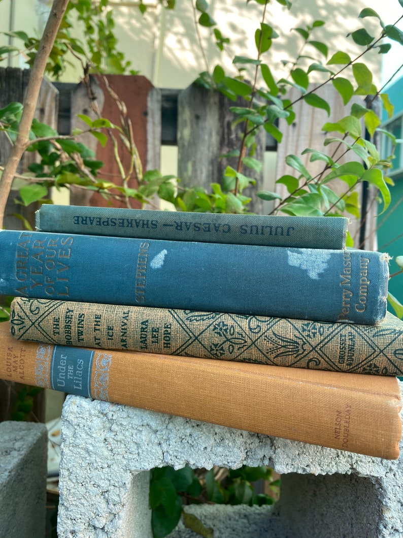 4 VINTAGE BOOKS classic library book collection blue orange linen, Julius Caesar,Bobbsey Twins,Alcott , unique mom gift,new home rustic image 5