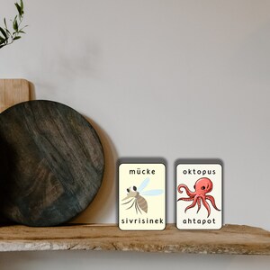 May include: Two illustrated flashcards with German and English words. The first card shows a mosquito with the German word "m&uuml;cke" and the English word "sivrisinek". The second card shows an octopus with the German word "oktopus" and the English word "ahtapot".