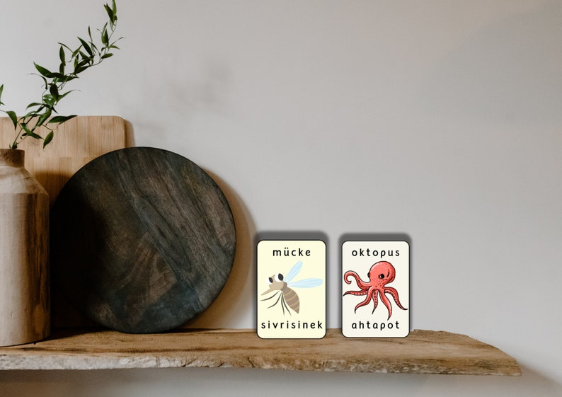 May include: Two illustrated flashcards with German and English words. The first card shows a mosquito with the German word "m&uuml;cke" and the English word "sivrisinek". The second card shows an octopus with the German word "oktopus" and the English word "ahtapot".