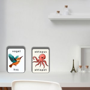 May include: Two flashcards with illustrations and words in German and Turkish. The first card shows a blue and orange bird with the words "vogel" and "kuş". The second card shows a pink octopus with the words "oktopus" and "ahtapot".