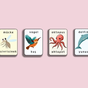 May include: Four colorful flashcards with German and English words for different animals. The cards feature illustrations of a mosquito, a bird, an octopus, and a dolphin.